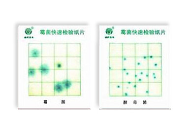 霉菌、酵母菌測試片